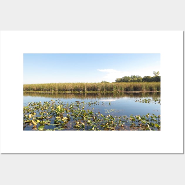 Wondrous Wetland Marsh - Point Pelee No.2 Wall Art by MaryLinH